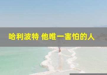 哈利波特 他唯一害怕的人